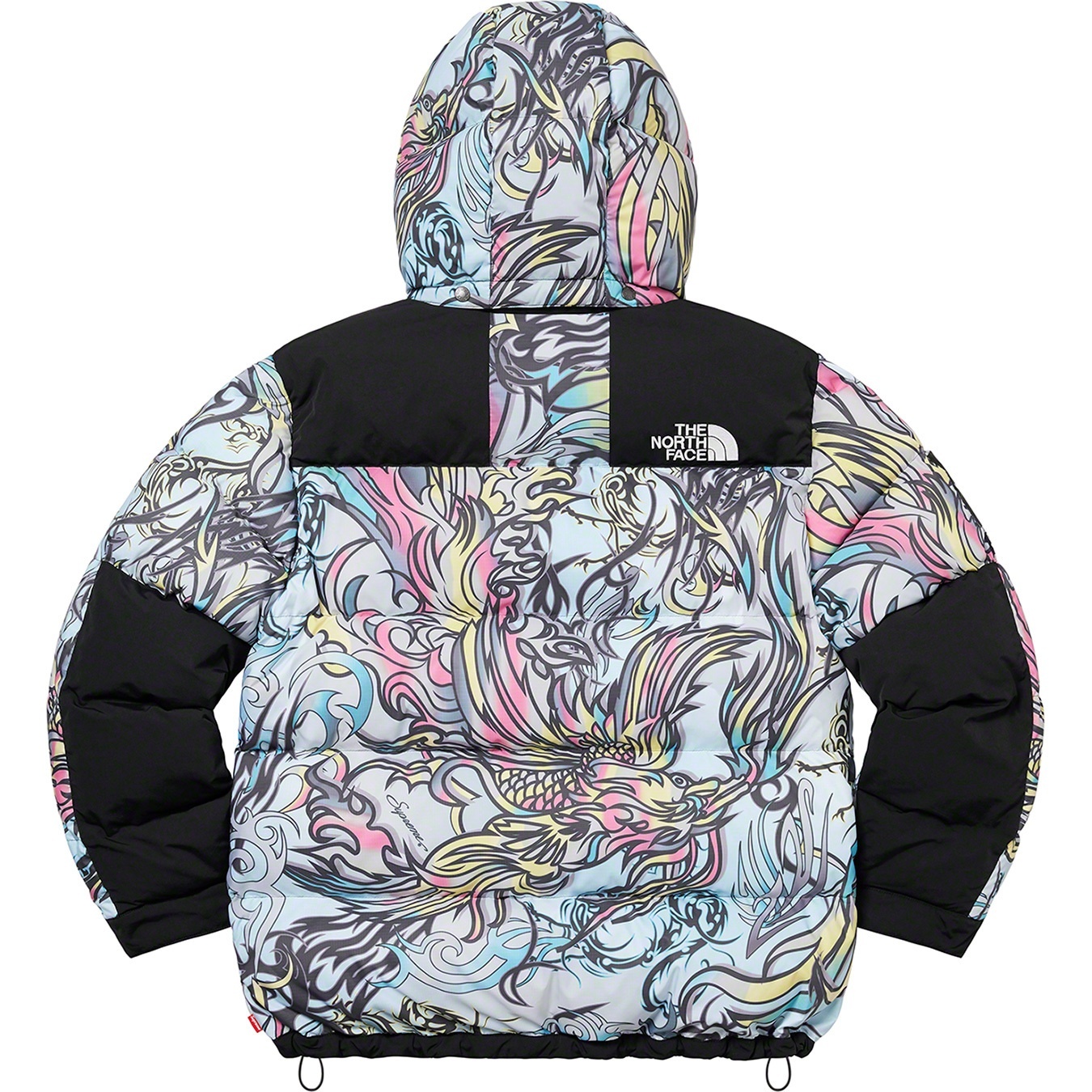 Supreme®/The North Face® 700-Fill Down Parka view 10